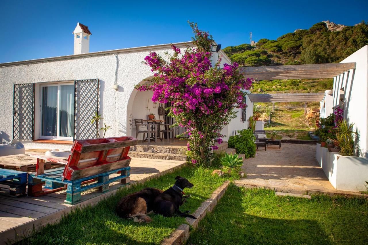 Wild House Tarifa Hostel Exterior photo